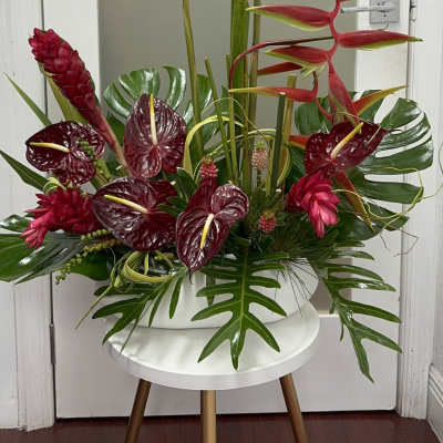 Tropical arrangement with red heliconia and burgundy anthuriums in a white container