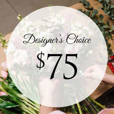 Designer's Choice-Standard