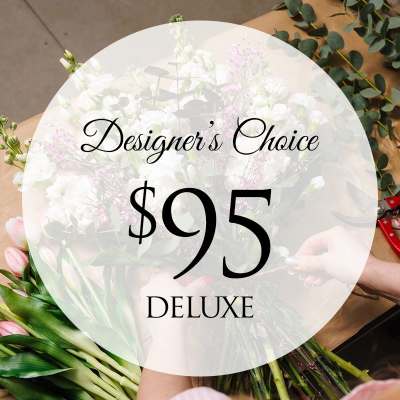 Designer's Choice - Deluxe