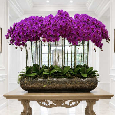 Luxury Purple Orchid Arrangement – Same-Day Delivery Available