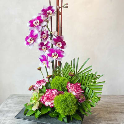 Zen Artistry