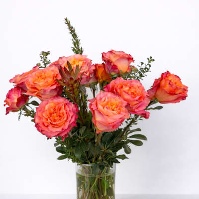 Orange-pink roses arranged in a clear glass vase