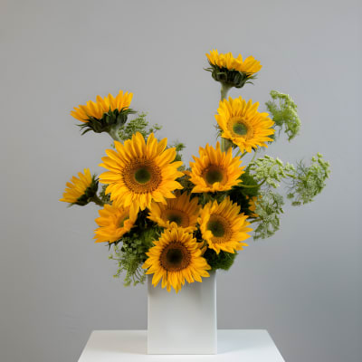 Sunny Lover