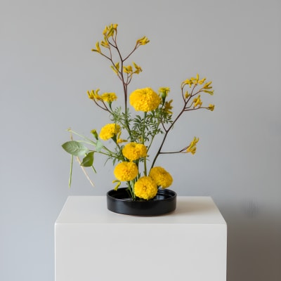 Kokedama Event Table Design