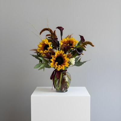 Sunflower Sundaze