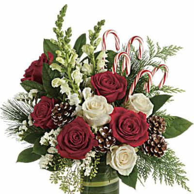 Red and white roses in a glass vase with candy canes and pinecones