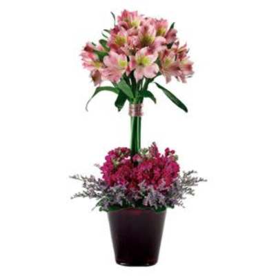 Pink flower arrangement in a dark pot with a tall top cluster
