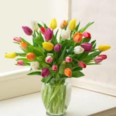 Bouquet of multicolored tulips in a clear glass vase