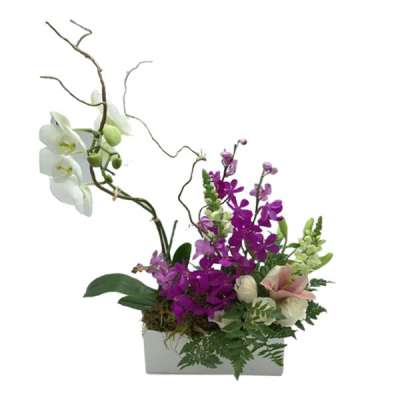 Orchid arrangement in a white rectangular container with twisting branches