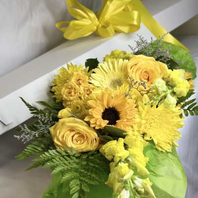The Yellow Box