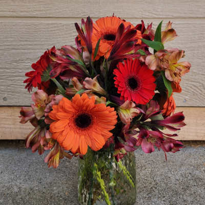 Gerbera Mix