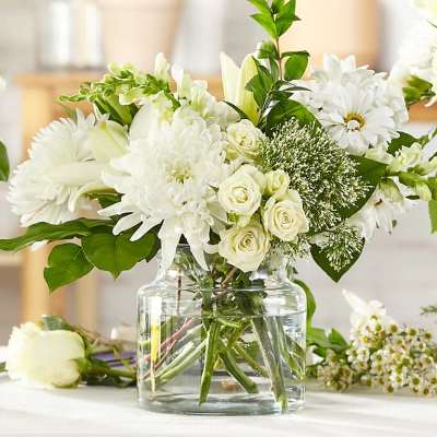 Classic Ivory