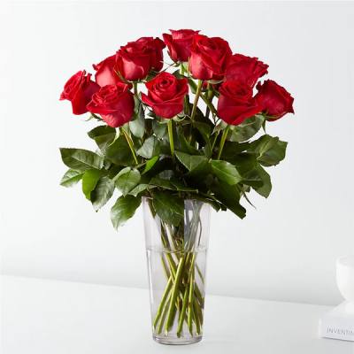 Red roses arranged in a clear glass vase