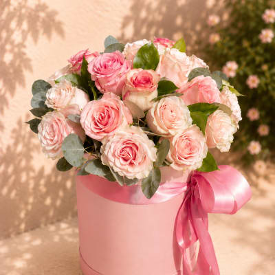 Venus' Blush Pearl – Luxury Hat Box