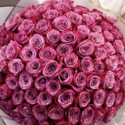 Large bouquet of pink roses wrapped in paper