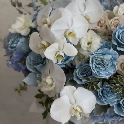 Sky Blue Orchids box