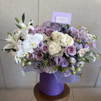 Lavender Dream Orchid Box