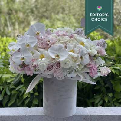 Orchids with flowers (Editor's Choice)