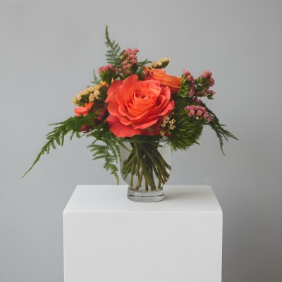 Free Spirit