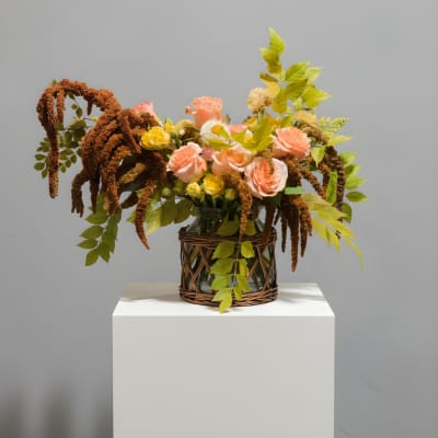 Golden Leo