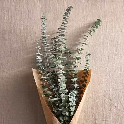 Fresh Eucalyptus Bouquet