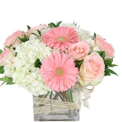Delicate arrangement