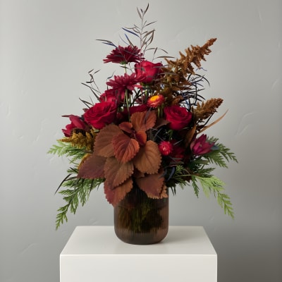 Christmas Designers Choice