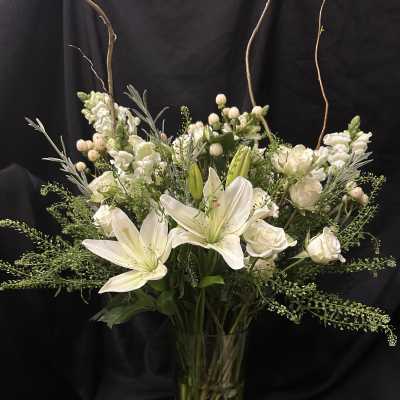 Serenity