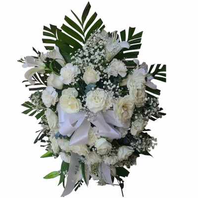 Delicate Sympathy