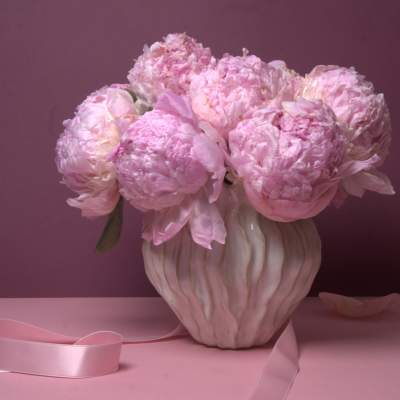 Pink peonies arranged in a white ceramic vase with a pink ribbon