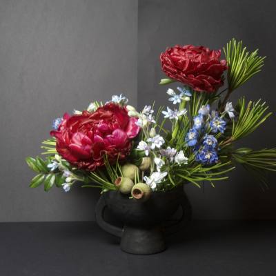 Red peonies with blue and white flowers in a black vase