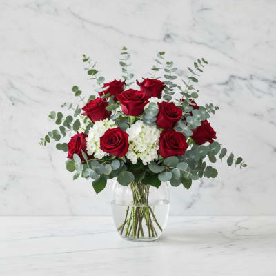 Dozen Long Stemmed Red Roses by BloomNation™
