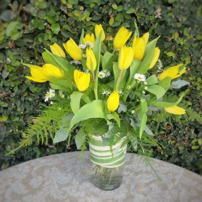 Yellow Country Spring