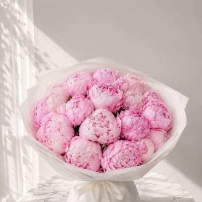 Peony Dream
