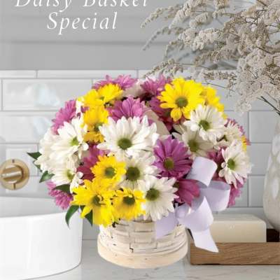 Daisy Basket Special