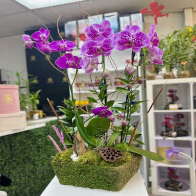 Rectangular moss-covered planter with bright purple orchids and decorative accents.