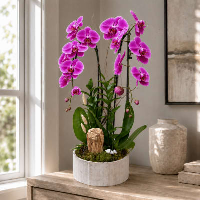 Twin Orchid Wood - Pink