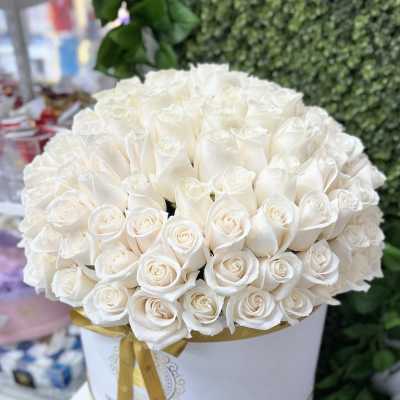 Large round hatbox of tightly packed white roses with a gold ribbon around the box