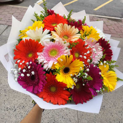 Bright mixed gerbera daisy bouquet wrapped in white paper