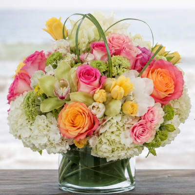 Bayshore Elegance