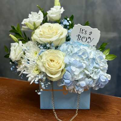 Welcome Baby Boy