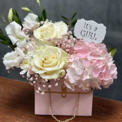 Welcome Baby Girl Bundle