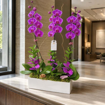 Orchids Plant Rectangular Vase - Pink