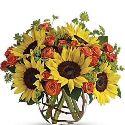 Sunny Sunflowers