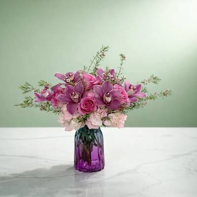 Orchid Dreams