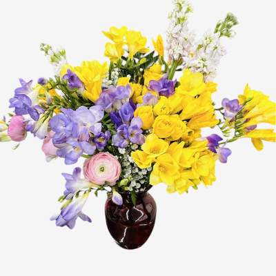 Bright yellow and lavender freesias with pink blooms arranged in a dark red glass vase