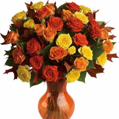 Teleflora's Fabulous Fall Roses