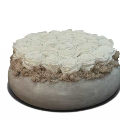Eternal Ivory Dome