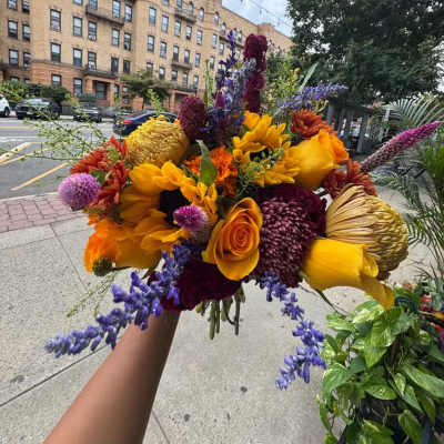 Fall Blooms