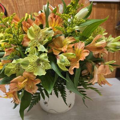 Orange and pale green alstroemeria in a white ceramic vase